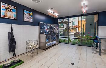 Dog wash with grooming tables